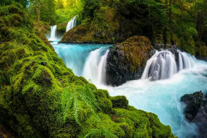 Columbia Falls, Montana, near Halfmoon Camp